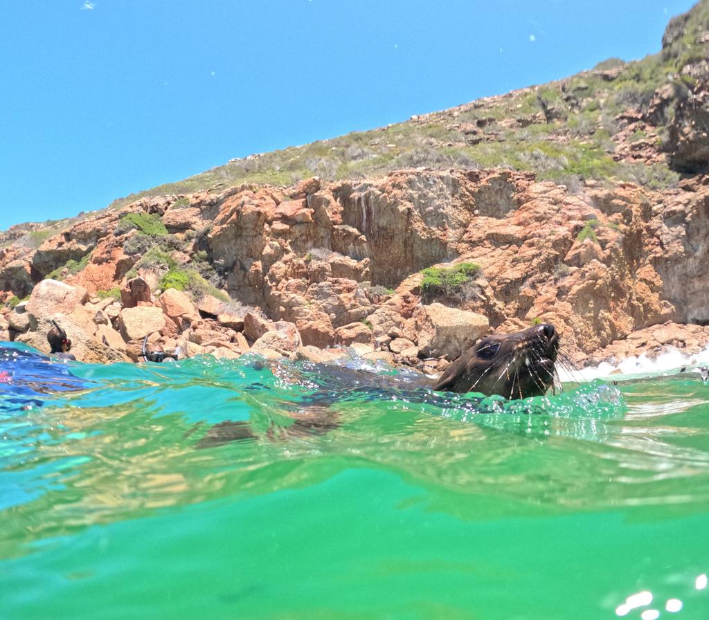 Такая близкая Африка. (ЮАР. 22 дня и 4200 км. Ноябрь-Декабрь)