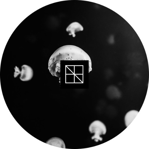 Stijn Vanmarsenille - Underneath The Sea Lies An Ocean Part 1 (2026)