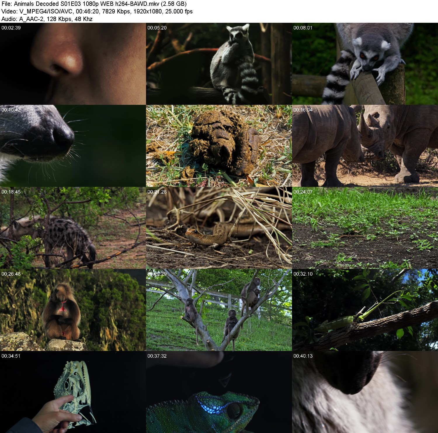 [Image: ihaqbsh84b95.jpg]