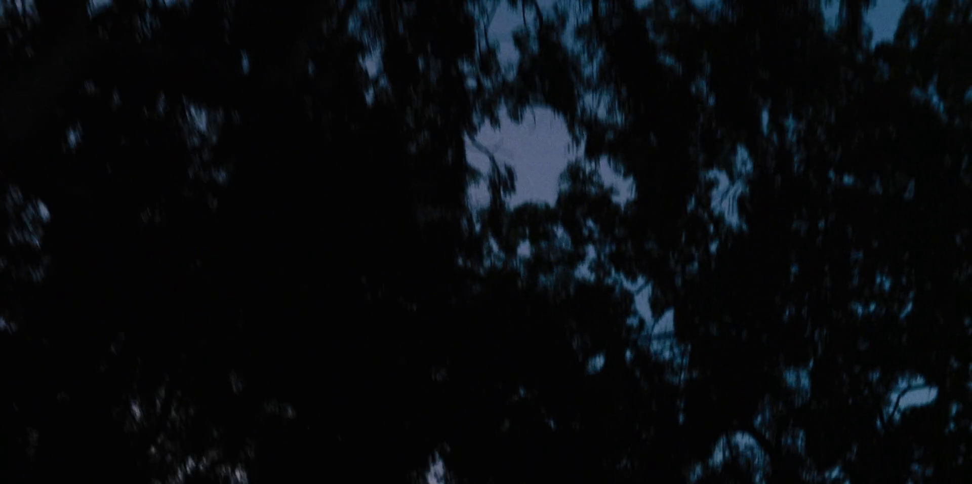 5ed8vu0j6f.png