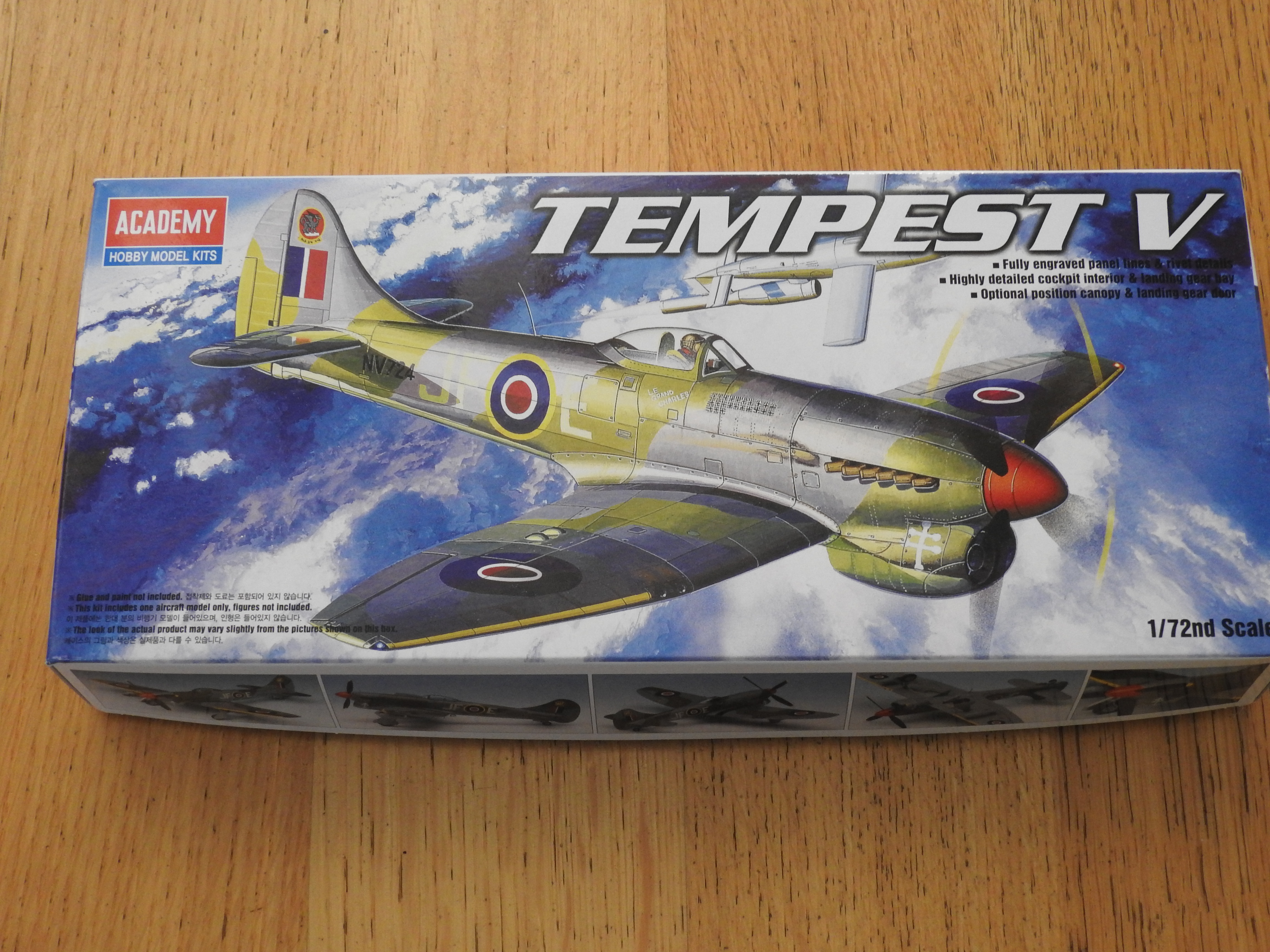 Tempest MkV, Academy 1/72 DSCN1154