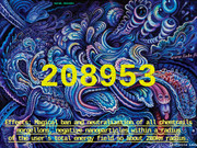 208953 Infinitecode