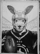 Roobet Traditional 5