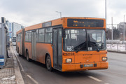 IMG-5892