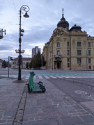 PXL_20211016_065656113