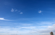 DSC-8337