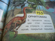 https://i.postimg.cc/xc9vHtC4/100-8081.jpg