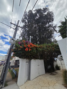 https://i.postimg.cc/xcD0PZn8/20260218-125954.jpg