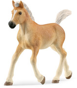 01 - Haflinger Foal
