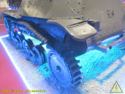 IMG-7497