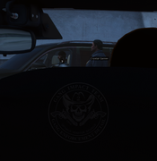 81