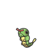 caterpie