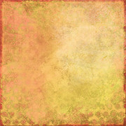 Tangerine-Winter-Kit-2