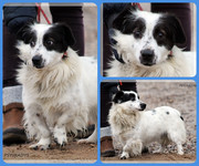 Be-Funky-collage-17.jpg&key=0334bfd152fd