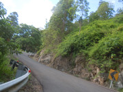 DSCN4197