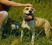 Screenshot_20230627_234154_Gallery