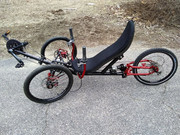 Dormant red w black W1 NT rt side