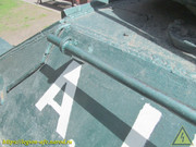 IMG-5341