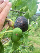 A62F4E92-E918-45C2-9483-8D72468F21D6