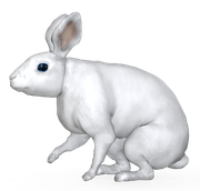 eastertime-6