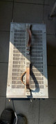IMG-20220227-WA0002