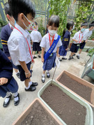 photo-littlefarmer2223-1B-012