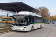 IMG-1231