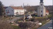 Kép