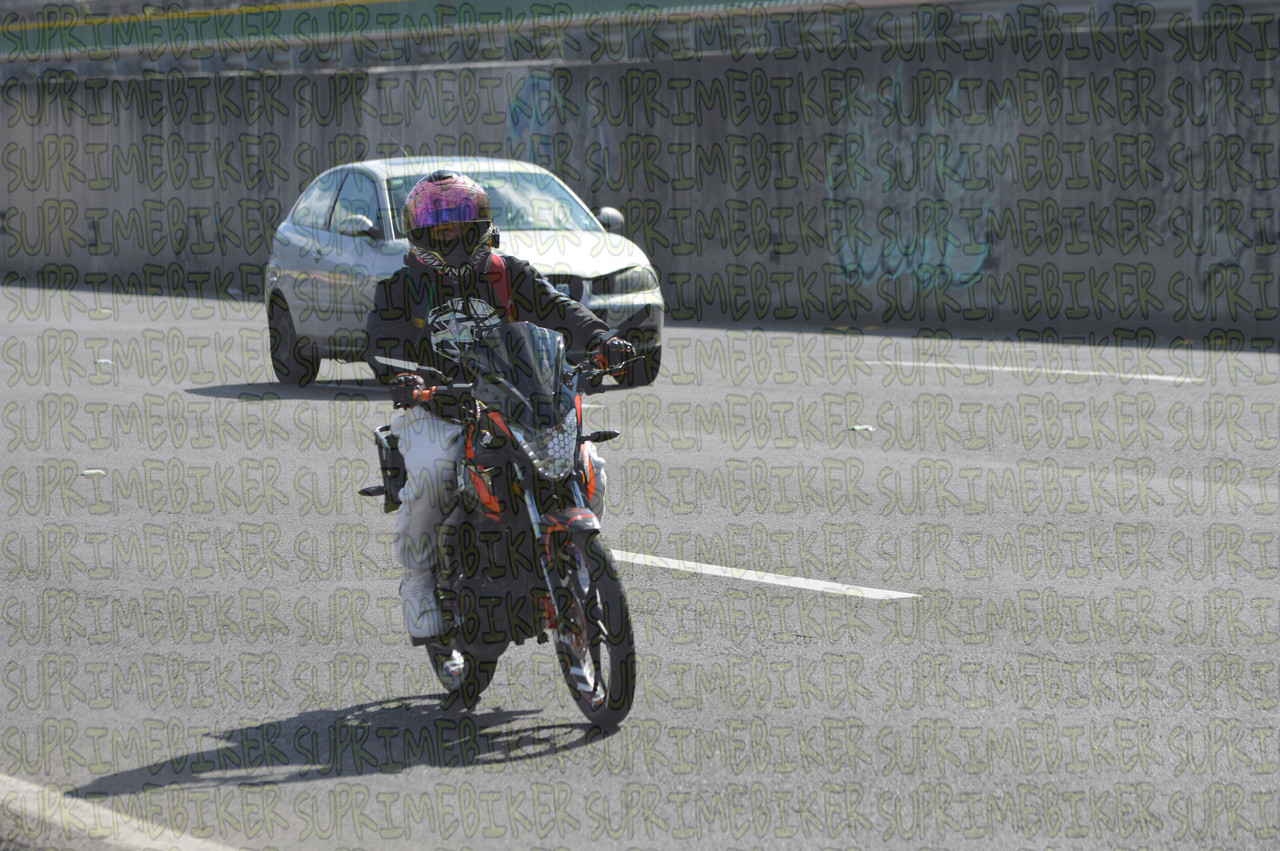 DSC 0344