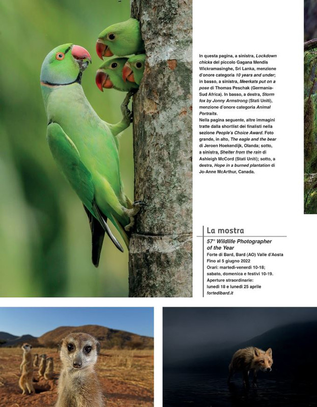 FOTO Cult Apr-Mag 2022 (2)