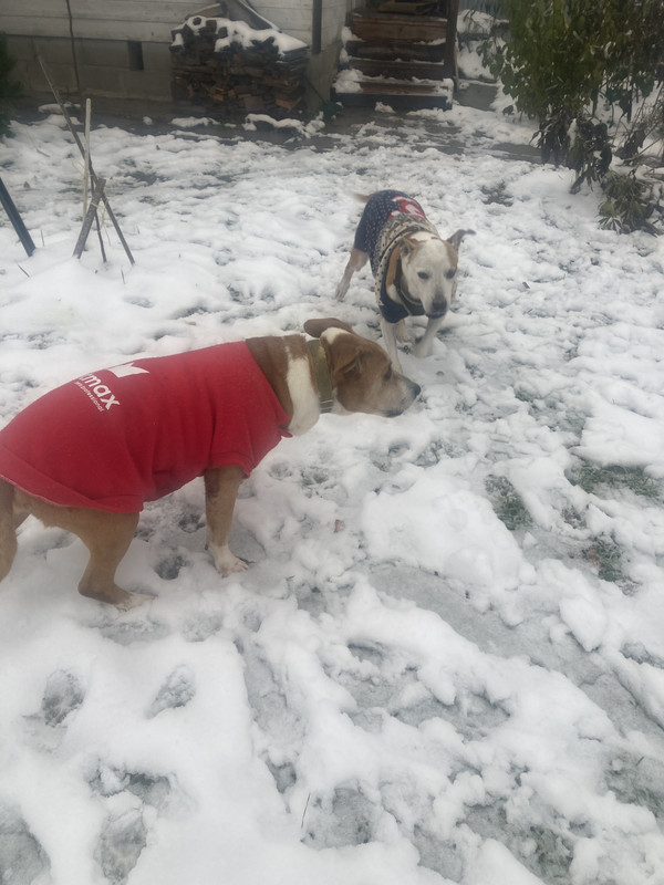 99266042-D5D9-4FCC-9DEB-5ED2AD7D050C