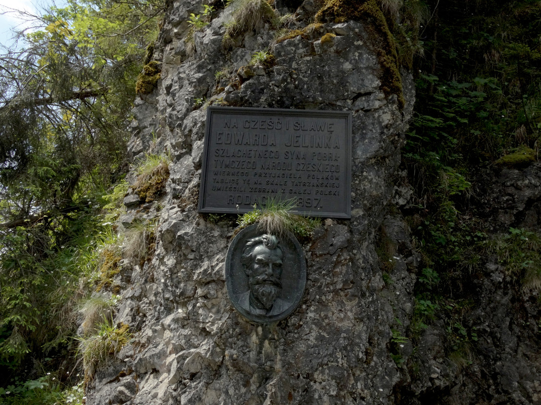 02.08 - DSC08000 (Czesio1)