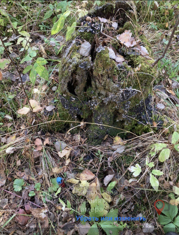 photo_5418193118005688721_y