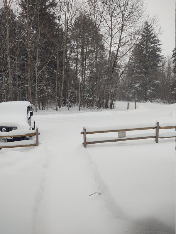 4b953502 9e67 474d af3d c63da645cc6b