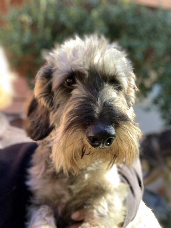 [Image: IMG-1419.jpg]