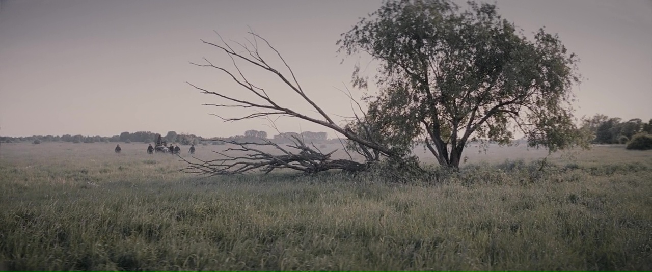 vlcsnap 2026 03 22 19h28m24s451