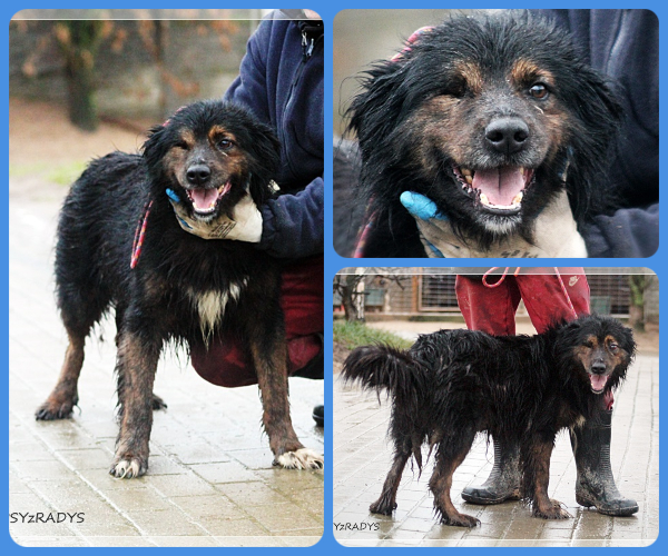 BeFunky-collage (22)