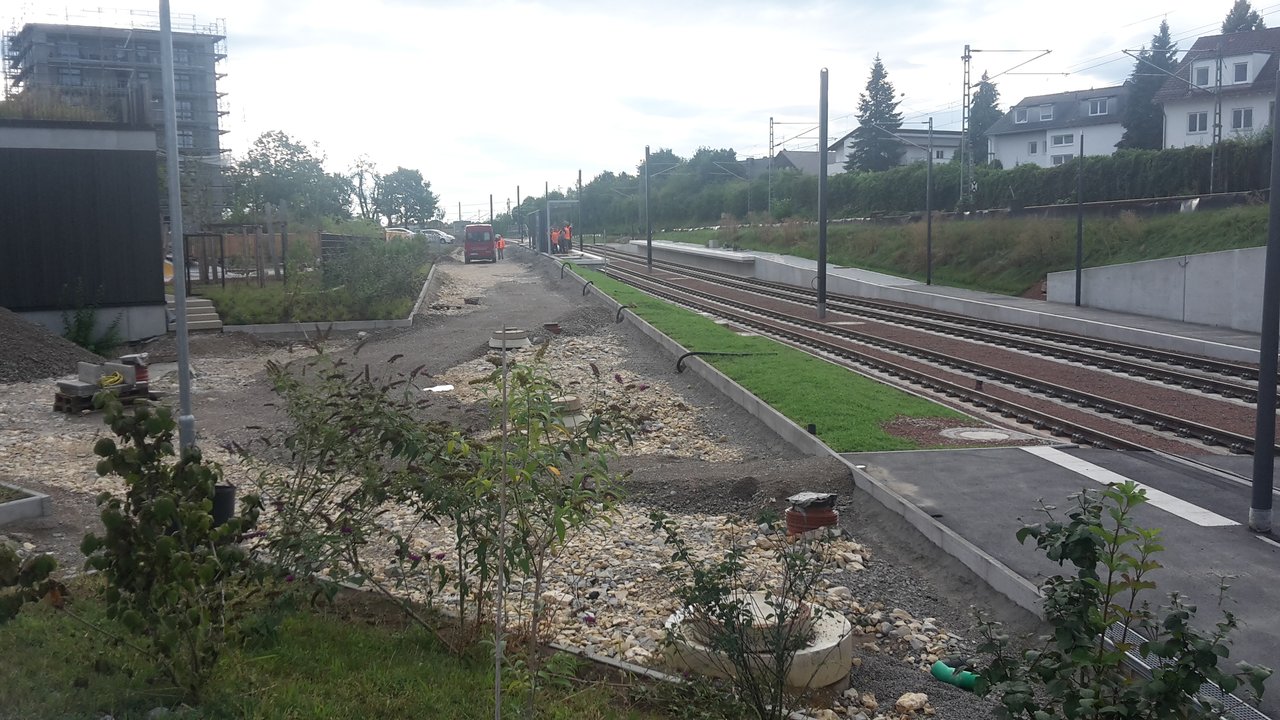 [Bild: 20240909-091245-1.jpg]