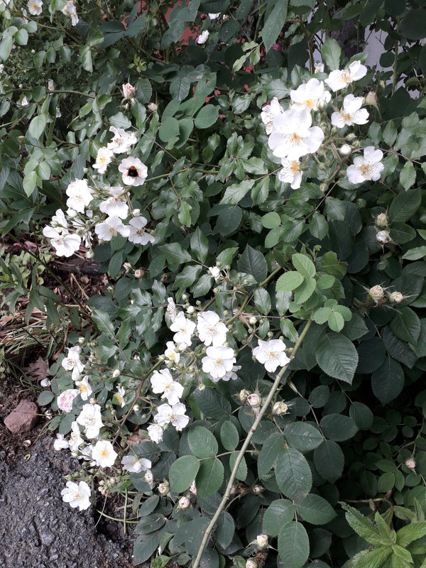 20190604_104824