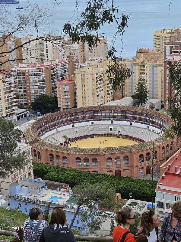 20250415_124113.jpg