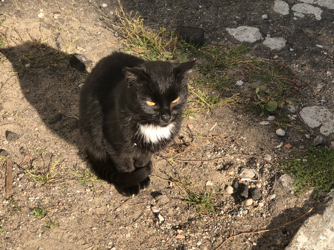 C7B4ABE1-0A15-4DFB-A0FD-C05156100217