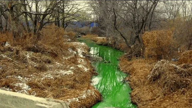 Río en Rusia se tiñe de color verde brillante, temen posible contaminación nuclear