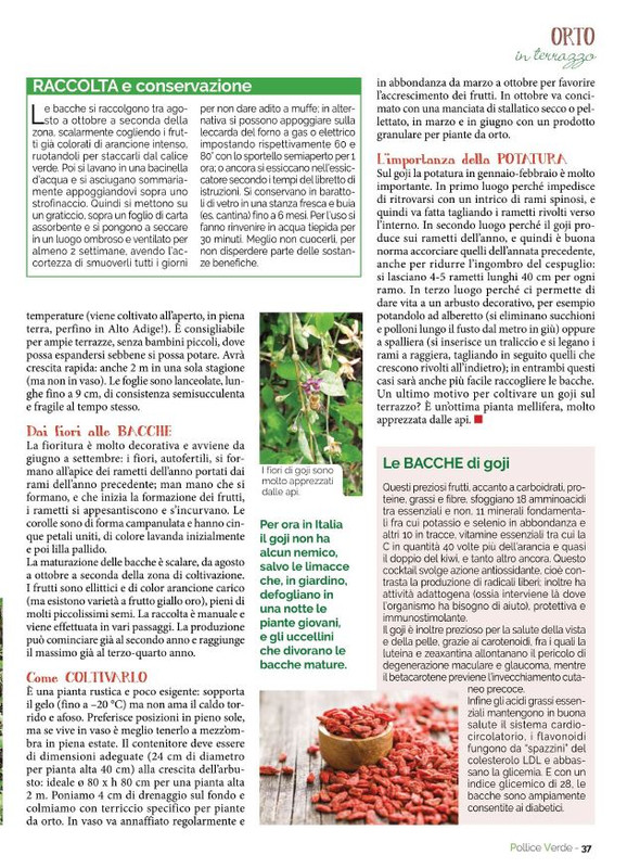 Pol Ver Lug 2022 (6)