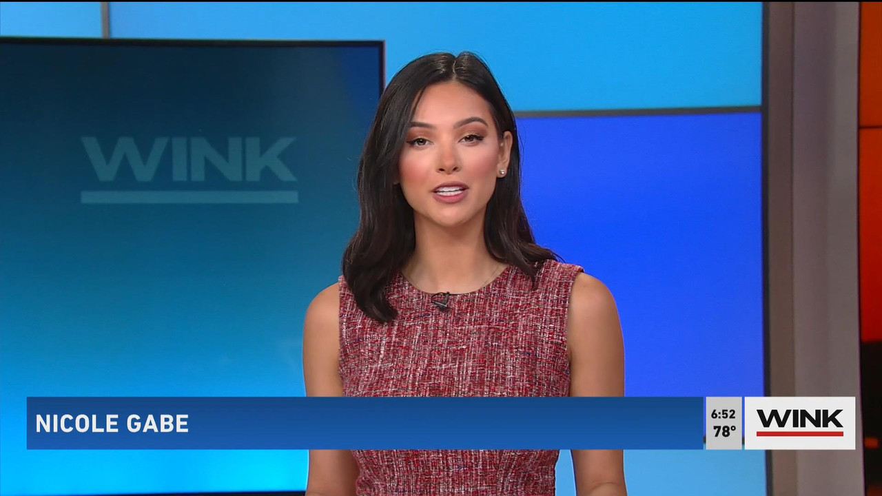 08.08 - 11.00.00 - WINK News @ 6 00AM Sunday. Local news, sports and ....ts_snapshot_34.24_[2021.08.