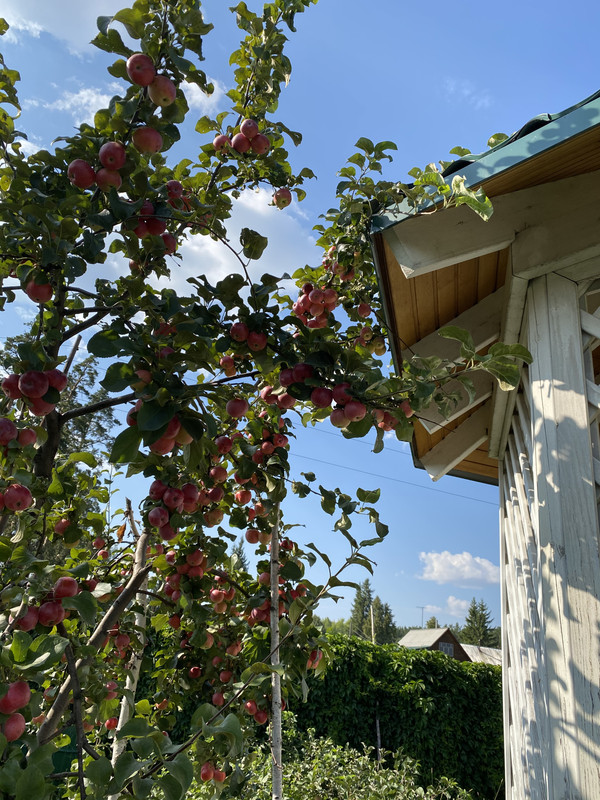 20A0CBC7-9FD2-48C0-A2C5-455EF596B34F