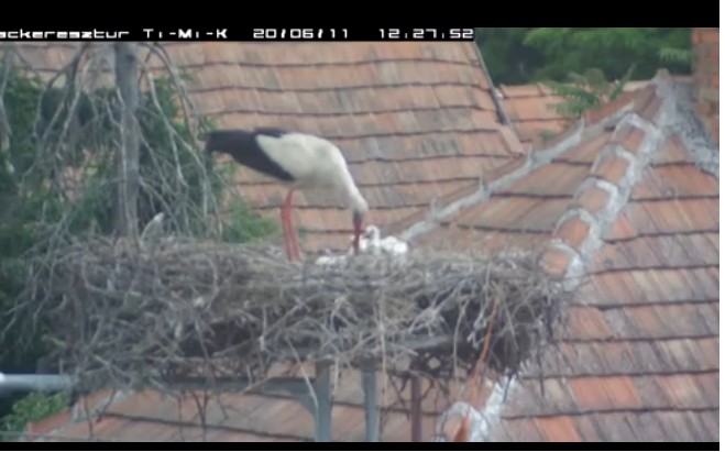 2020-06-11_123227ebéd