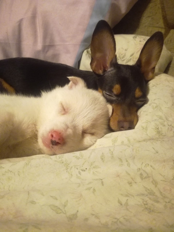 4D8F6E65-BC01-4771-8C7B-6CD2B35CE139