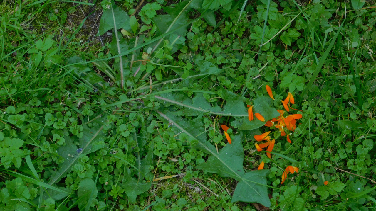 Дачное и  к Хелл сентябрь 2023 171