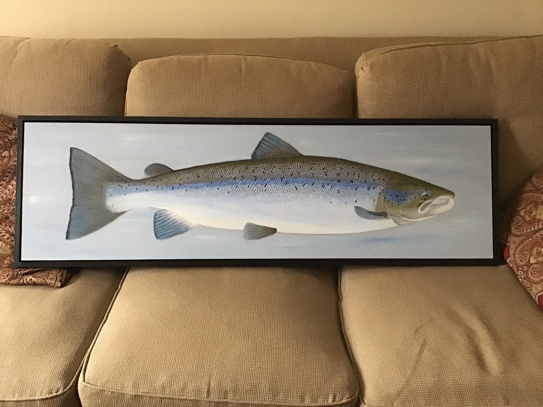 5B743C64-F19D-4BF8-9F51-8835EA5E8F51