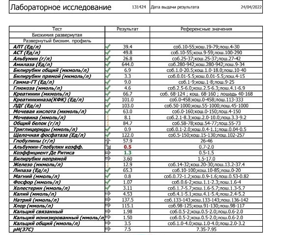 13DEE359-27EF-42F7-BAC6-B3B6FA195480